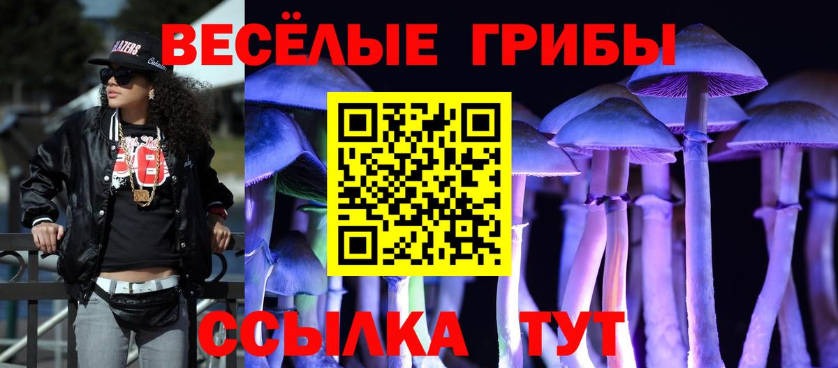 Находка  Псилоцибиновые грибы Psilocybe  Вход с VPN 